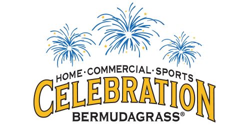 Celebration Bermudagrass